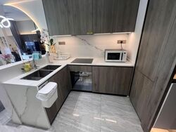 Leedon Green (D10), Condominium #575103831